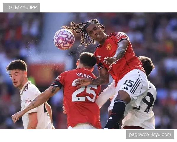 罗伊·霍奇森重返英超执教，开启球队新篇章