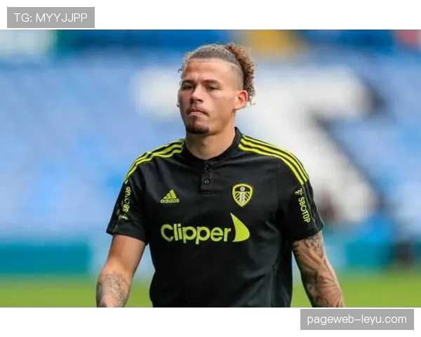 赖斯战术价值与数据表现落差分析